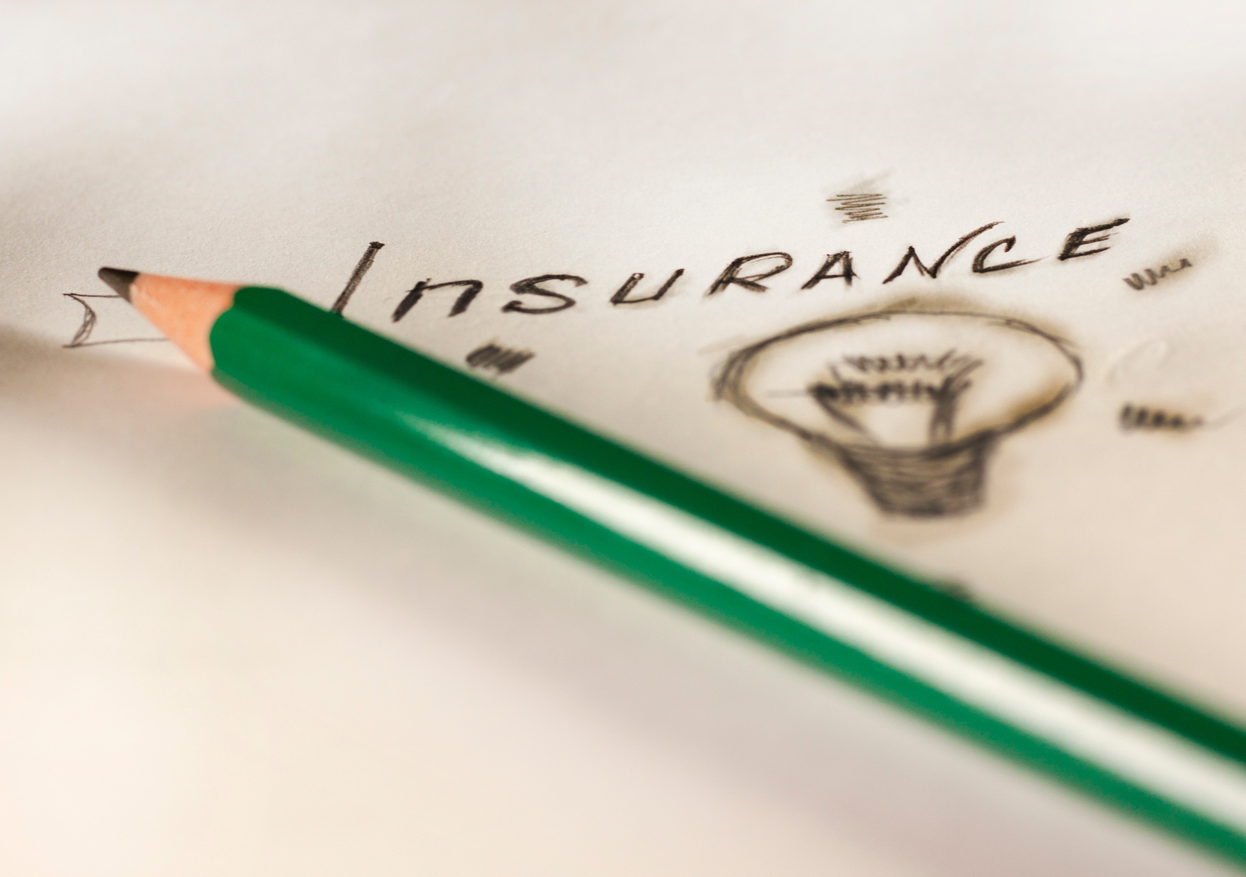 A green pencil lies on paper with the word 